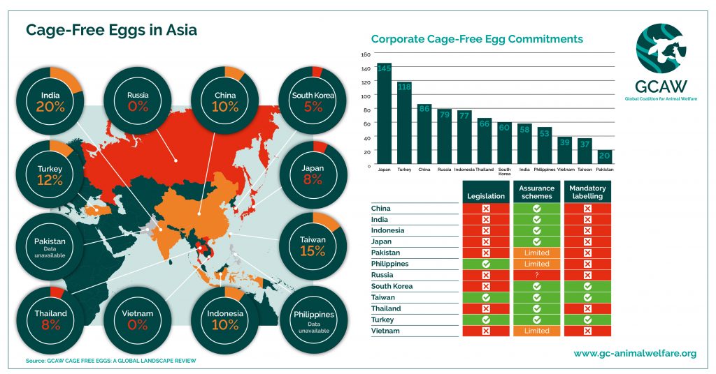 GCAW Cage-Free Eggs in Asia - Infographic