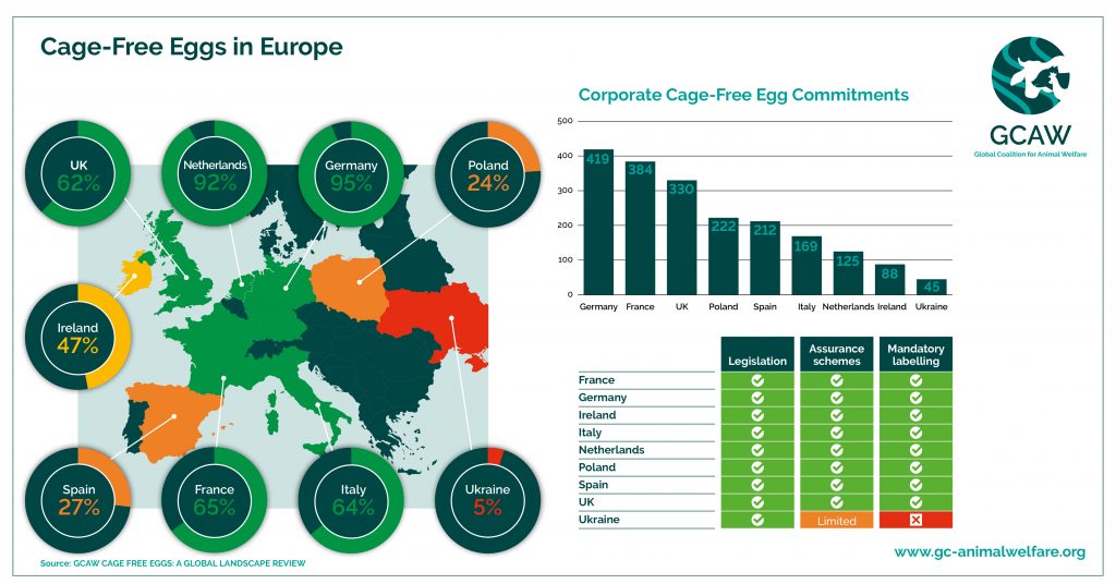 GCAW Cage-Free Eggs in Europe - Infographic