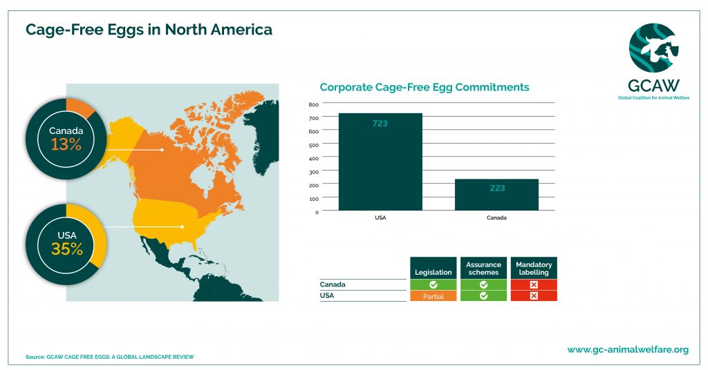 GCAW Cage-Free Eggs in North America - Infographic