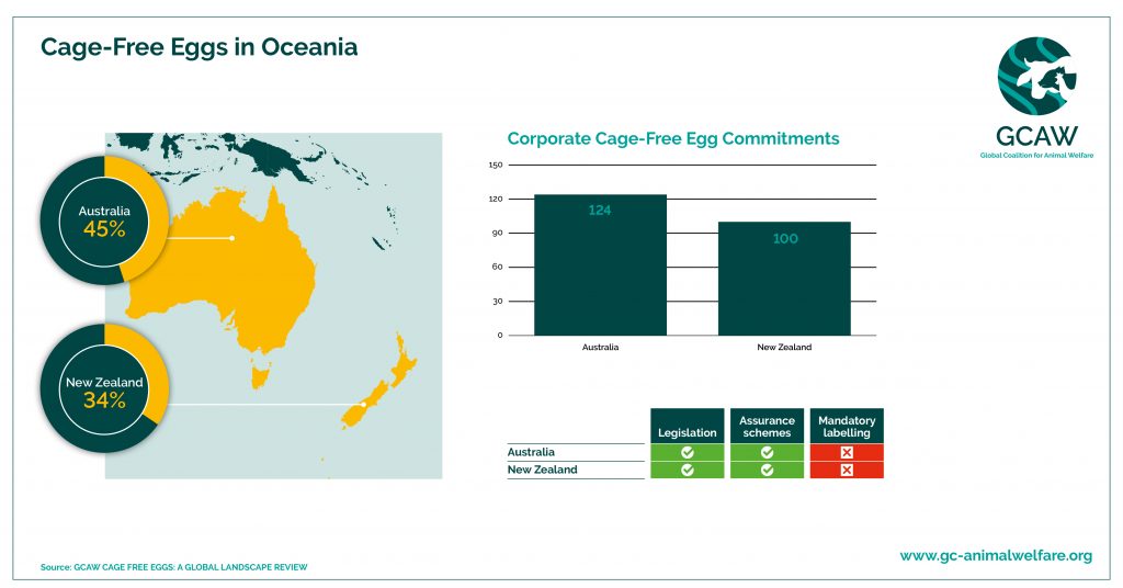 GCAW Cage-Free Eggs in Oceania - Infographic